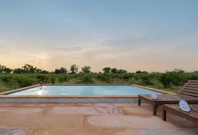 ホテル Stayvista S Gaudhuli Farmstay   Outdoor Pool & Terrace With View