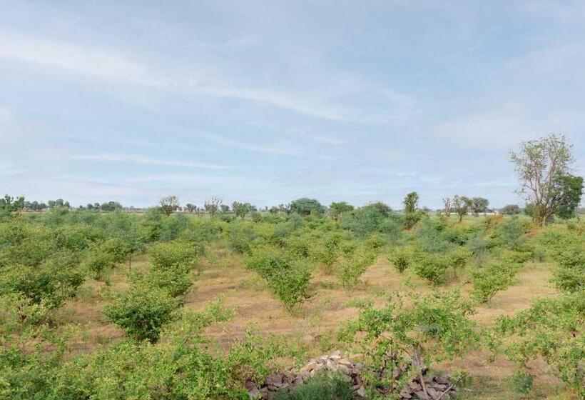 酒店 Stayvista S Gaudhuli Farmstay Outdoor Pool & Terrace With View