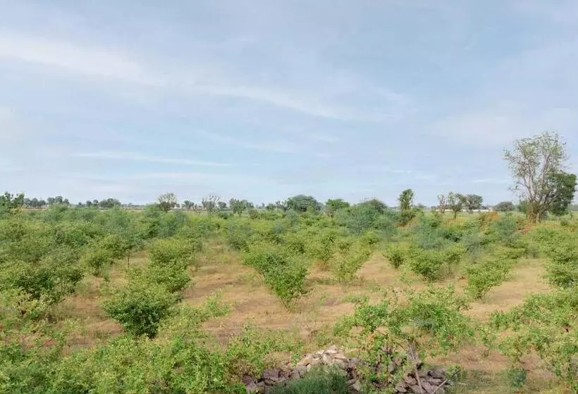 ホテル Stayvista S Gaudhuli Farmstay   Outdoor Pool & Terrace With View