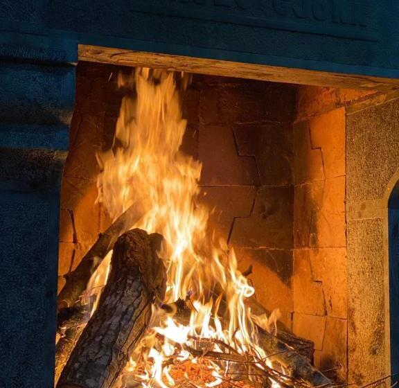 膳宿费 Bujtina Adora