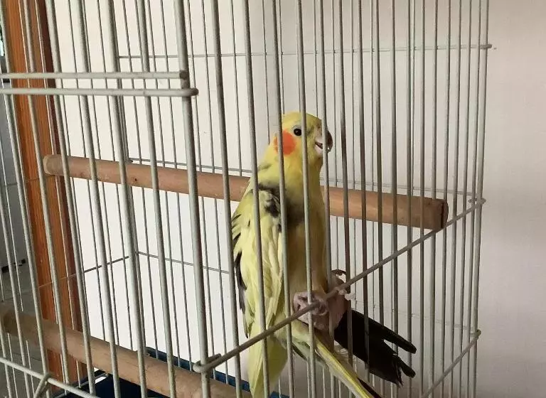 Aamiaismajoitus (B&B) Ai Quattro Soli