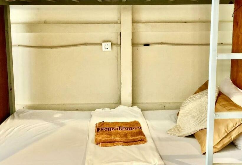 Schronisko Lucky Sun Saracen Bay