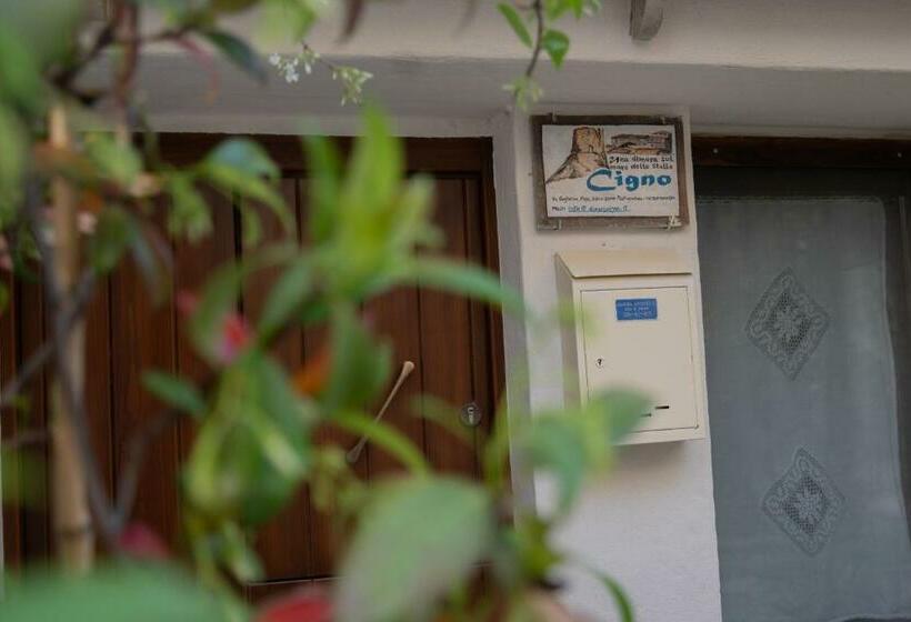 旅馆 B&b Dimora Cigno