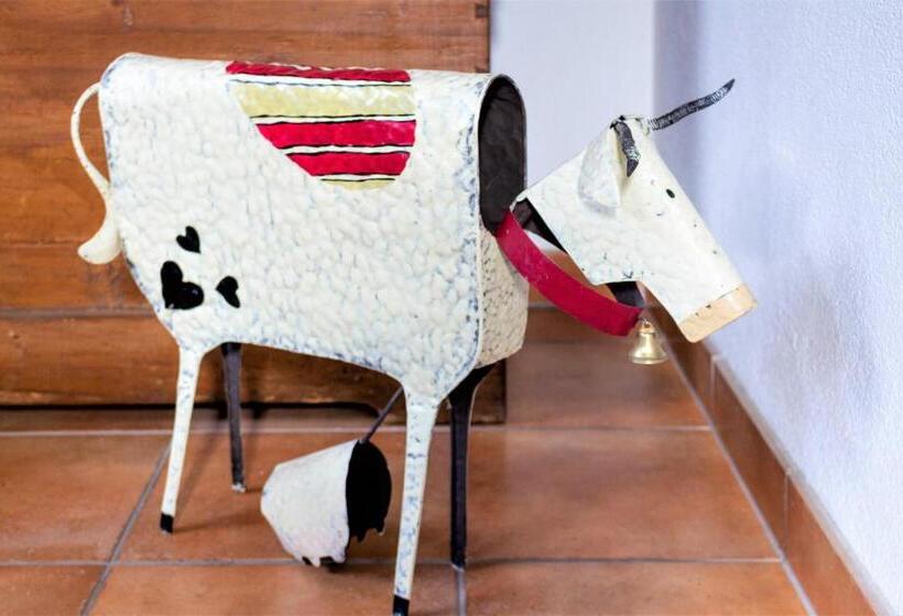 Bed and Breakfast Pension Schneider