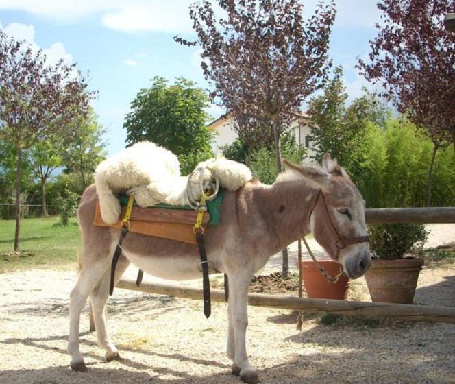 ホテル Locanda Dell Asino D Oro