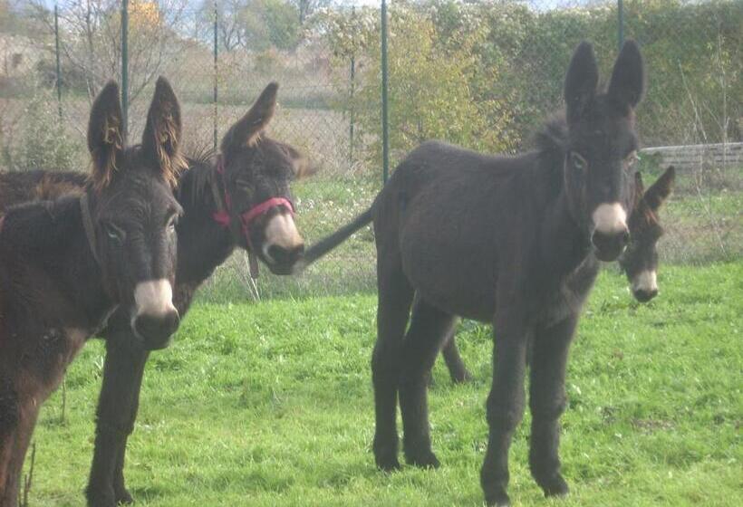 ホテル Locanda Dell Asino D Oro