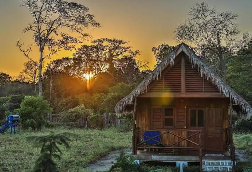 هتل Relais Du Kirindy