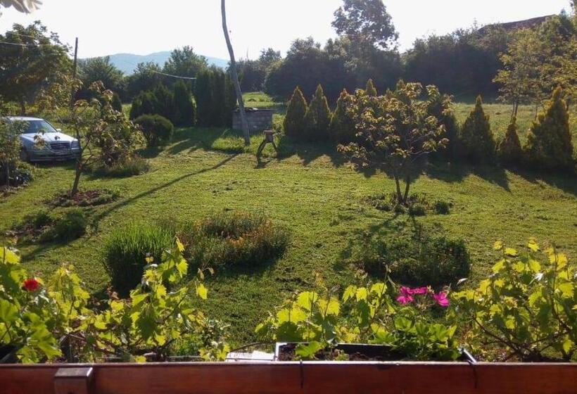 پانسیون Casa Camelia