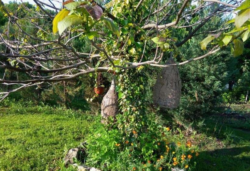 پانسیون Casa Camelia