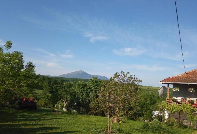 پانسیون Casa Camelia