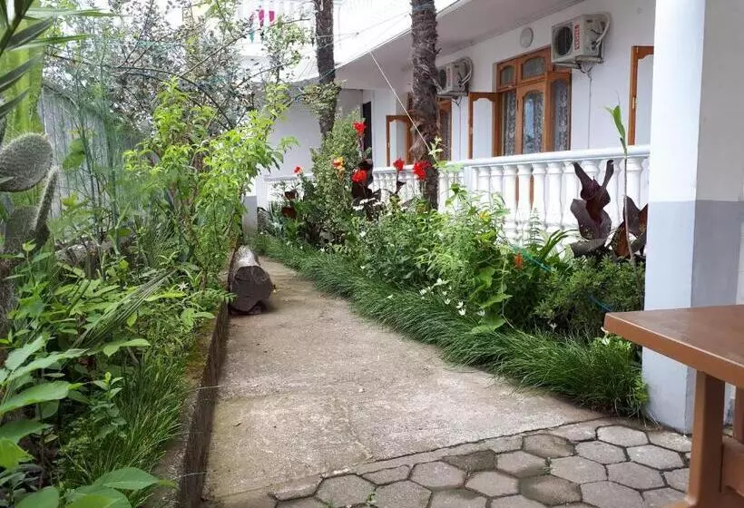 پانسیون Guest House Palma