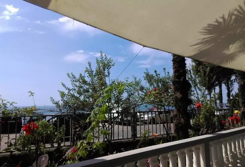 پانسیون Guest House Palma