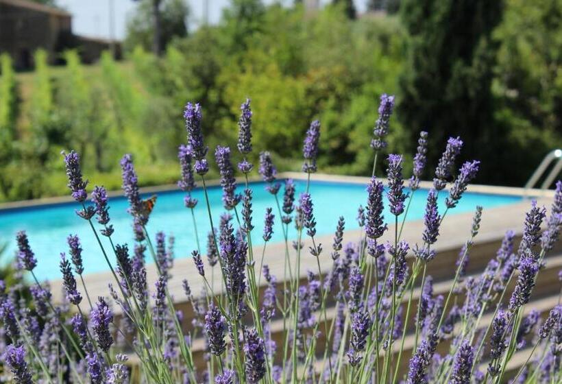 فندق Villa Privata Per Famiglie O Amici