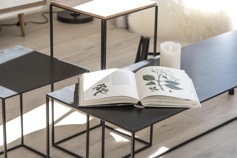 בית מלון כפרי Le Génépy   Appart Hôtel De Charme