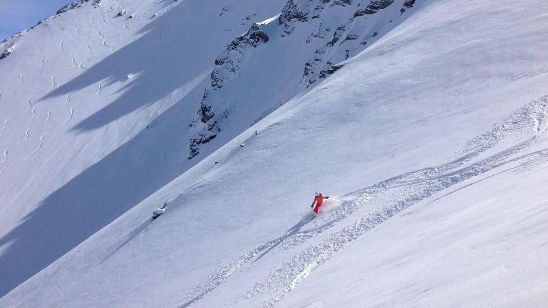 בית מלון כפרי Le Génépy   Appart Hôtel De Charme