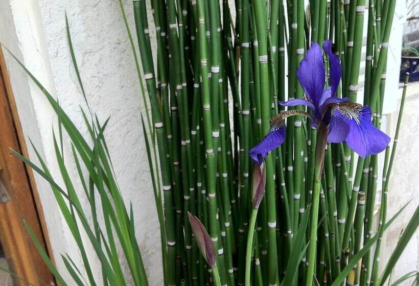 호텔 La Porte Rouge  The Red Door Inn