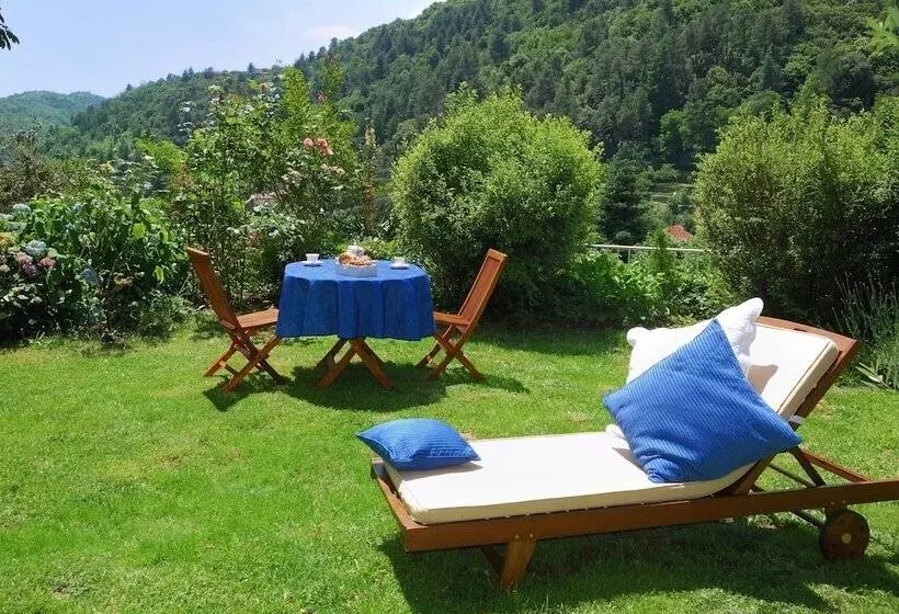 ホテル Villa Aimée Luxury Apartments With Heated Pool