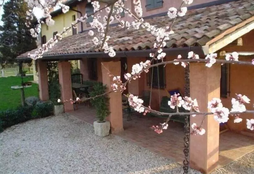 ホテル Agriturismo Borg Da Ocjs