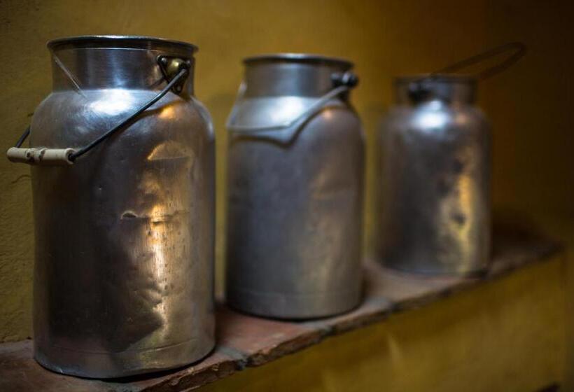 בית מלון כפרי Agriturismo Borg Da Ocjs