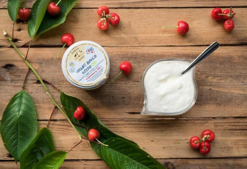 בית מלון כפרי Agriturismo Borg Da Ocjs