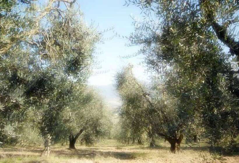 בית מלון כפרי Agriturismo Le Casette