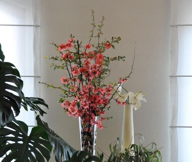 בית מלון כפרי Albergo Della Corona