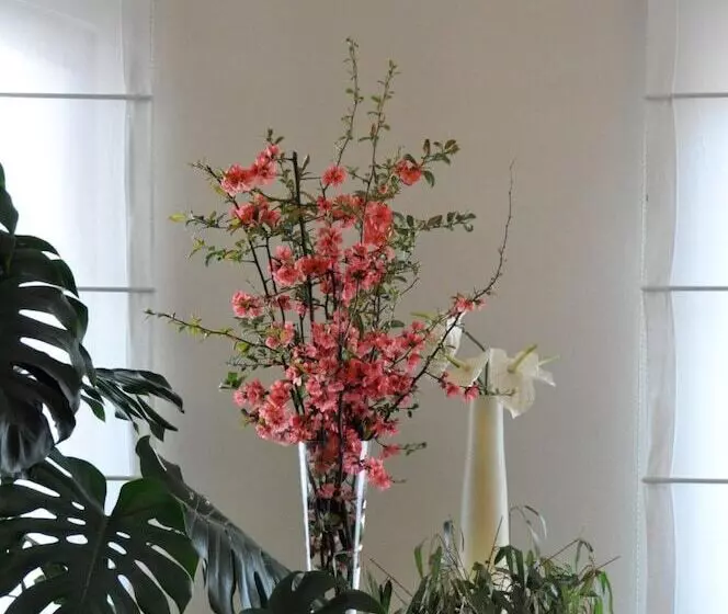 ホテル Albergo Della Corona