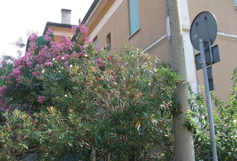 Отель B&b Accorsi