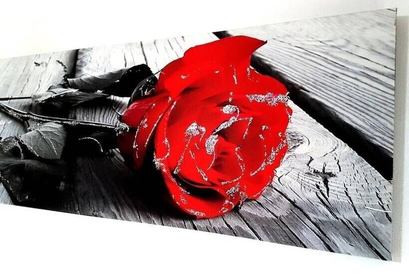 酒店 B&b Vanessa House