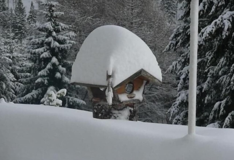 Hotel Cafe Pension Fernblick, Incl Meinecardplus