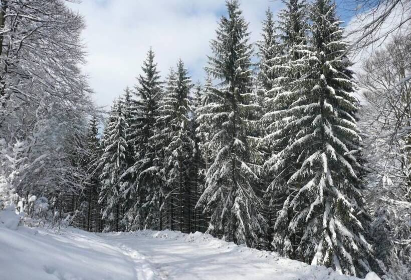 Hotel Cafe Pension Fernblick, Incl Meinecardplus