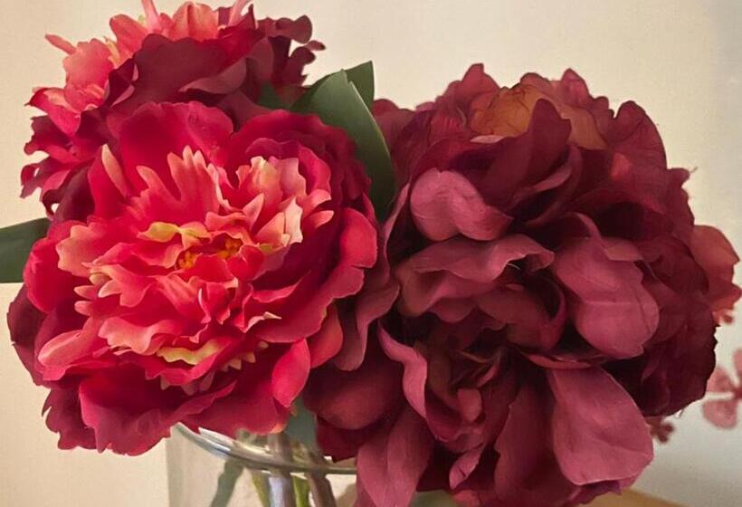 فندق Cuor Di Mantova B&b