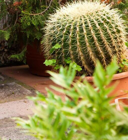 בית מלון כפרי La Maison De Titty & Margherita