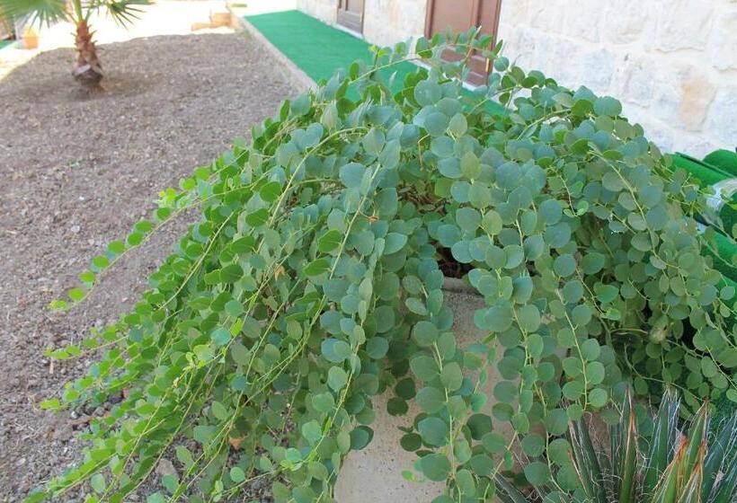 فندق Le Due Palme