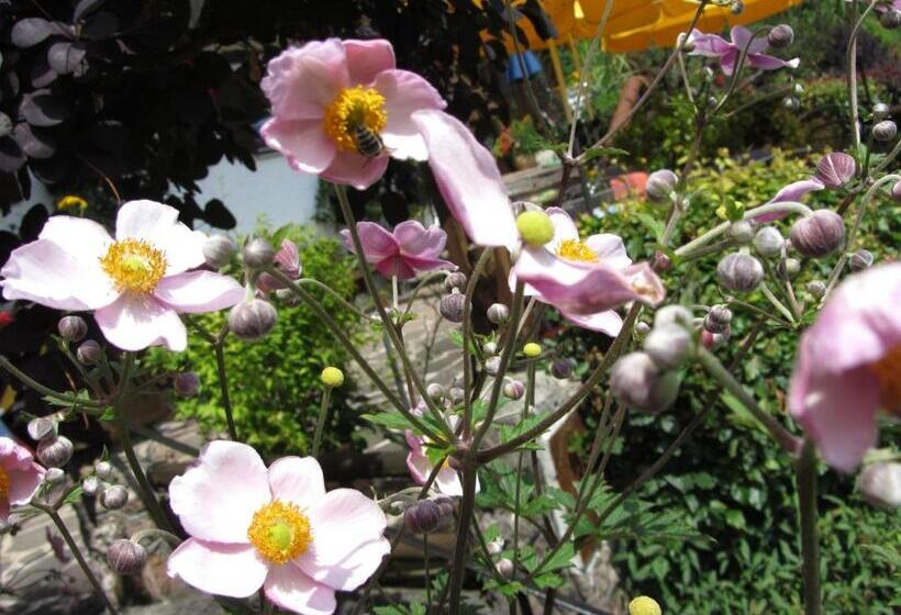 Hotel Pension Hubertus