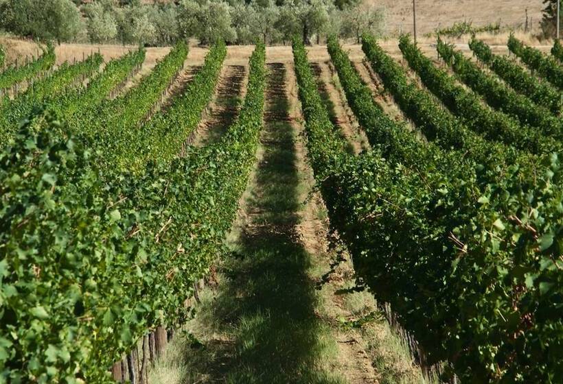 ホテル Poste Del Chiugi