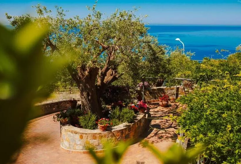 ホテル Residenza Golfo Degli Ulivi