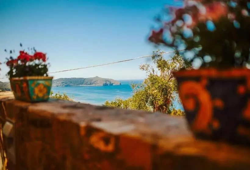 ホテル Residenza Golfo Degli Ulivi
