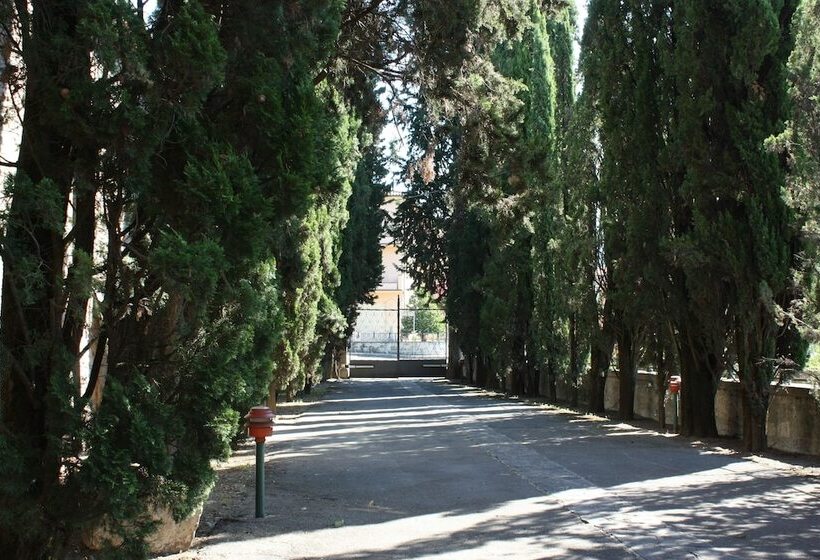 Отель Villa La Nussa