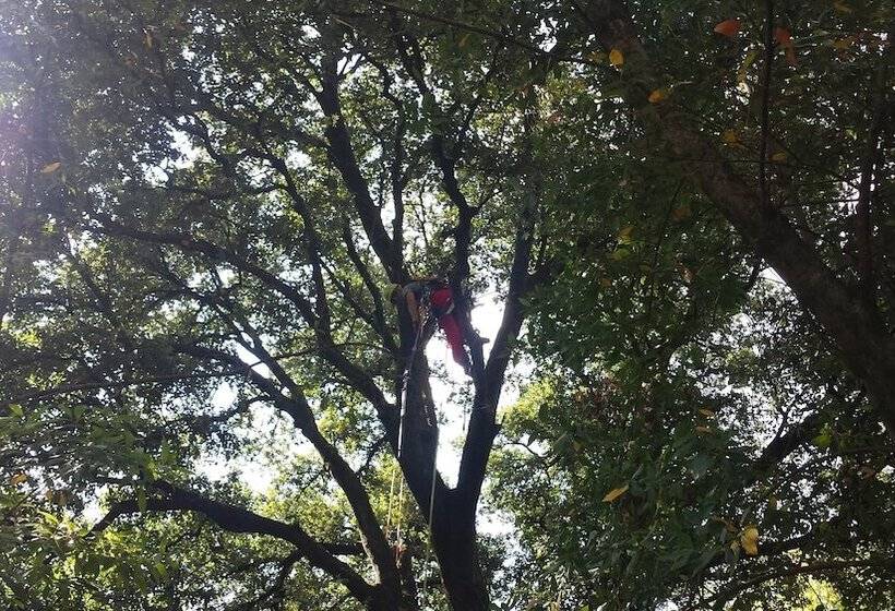 Отель Villa La Nussa