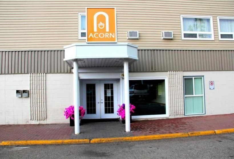 Acorn Motel