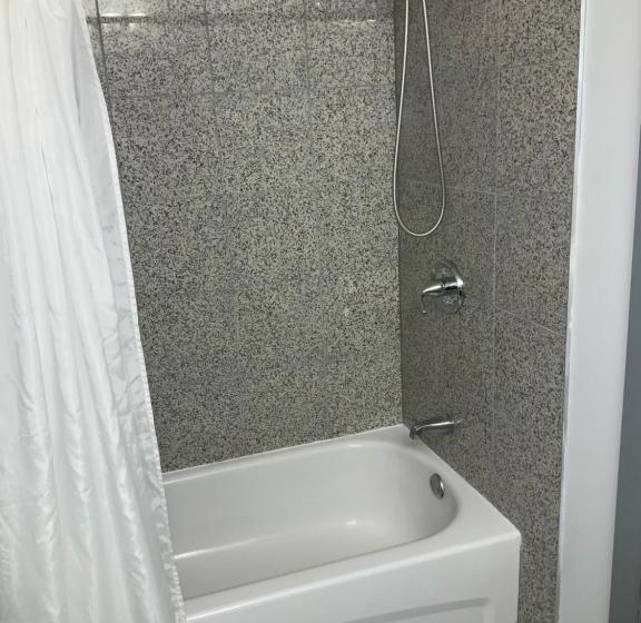 בית מלון כפרי Alpine Inn