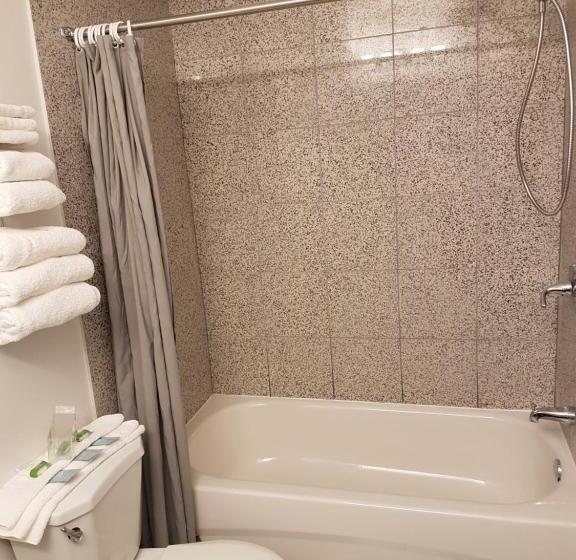 בית מלון כפרי Alpine Inn