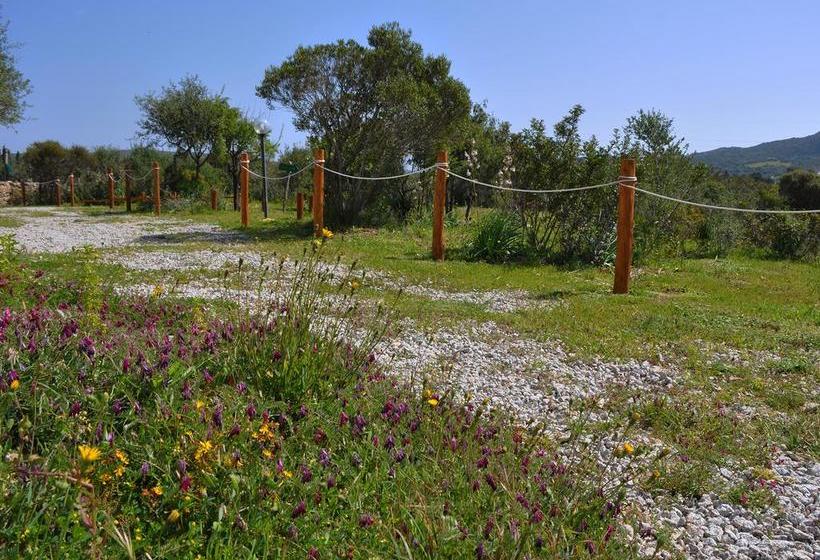 هتل B&b Albaluccia