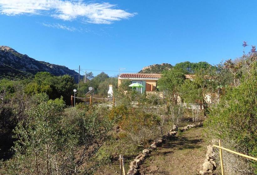 هتل B&b Albaluccia