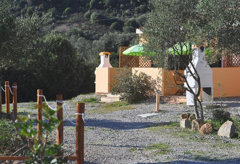 هتل B&b Albaluccia