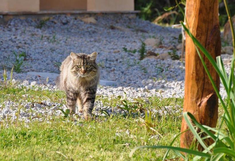 هتل B&b Albaluccia