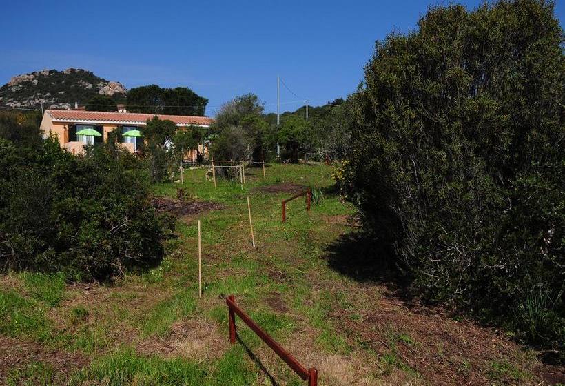 هتل B&b Albaluccia