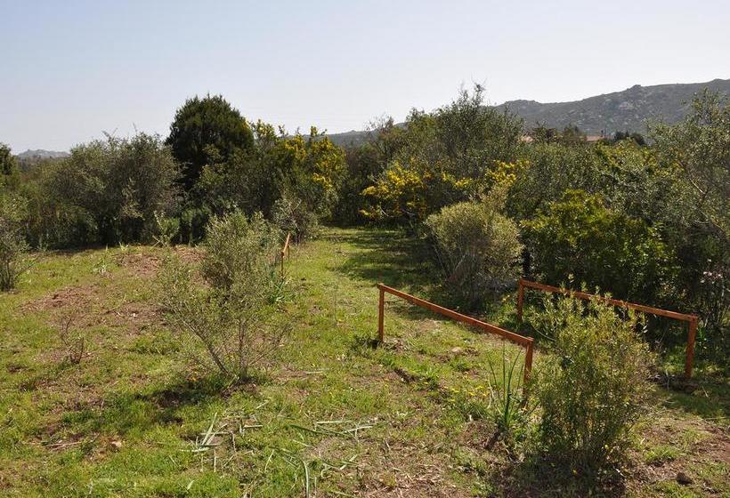 هتل B&b Albaluccia