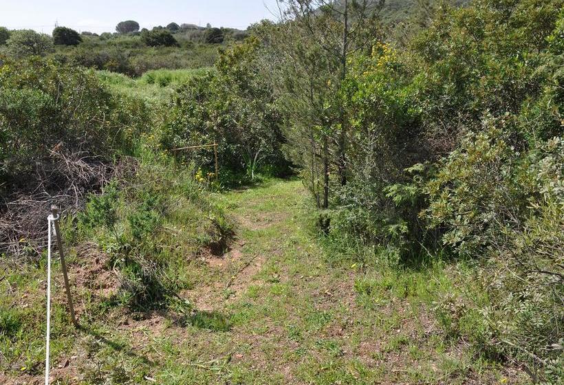 هتل B&b Albaluccia